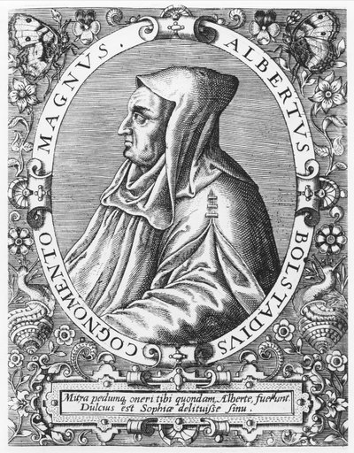 Albertus Magnus by Theodore de Bry